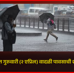 राज्यभरात आज वादळी पावसाची शक्यता, हवामान विभागाकडून 'यलो अलर्ट'