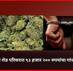 आळंदी रोड परिसरात ९३ हजार २०० रुपयांचा गांजा जप्त