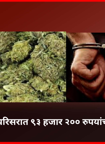 आळंदी रोड परिसरात ९३ हजार २०० रुपयांचा गांजा जप्त