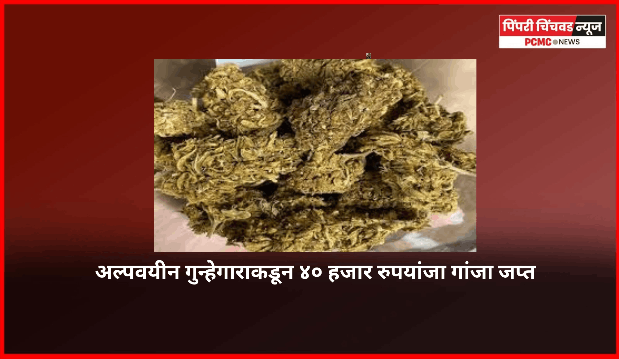 अल्पवयीन गुन्हेगाराकडून ४० हजार रुपयांजा गांजा जप्त