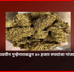 अल्पवयीन गुन्हेगाराकडून ४० हजार रुपयांजा गांजा जप्त