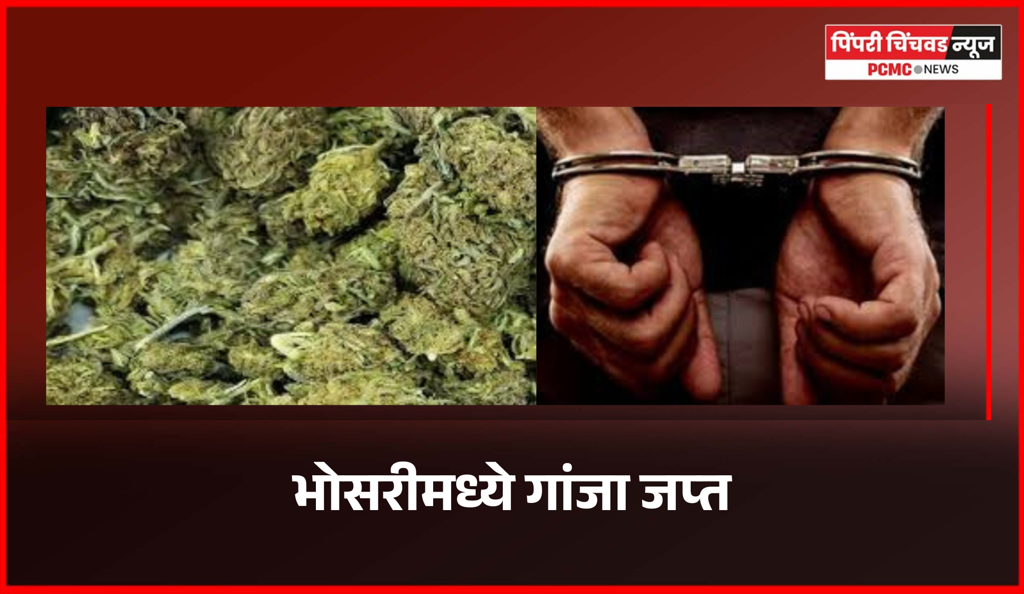 भोसरीमध्ये ११२ ग्रॅम गांजा जप्त