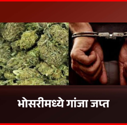भोसरीमध्ये ११२ ग्रॅम गांजा जप्त