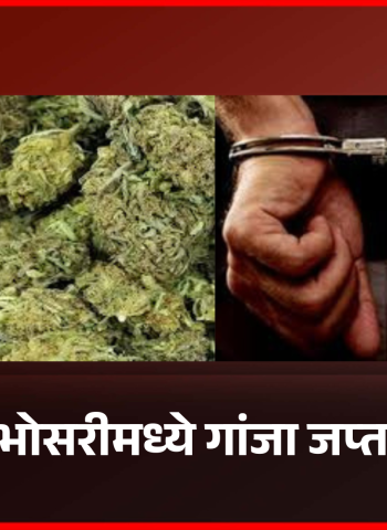 भोसरीमध्ये ११२ ग्रॅम गांजा जप्त