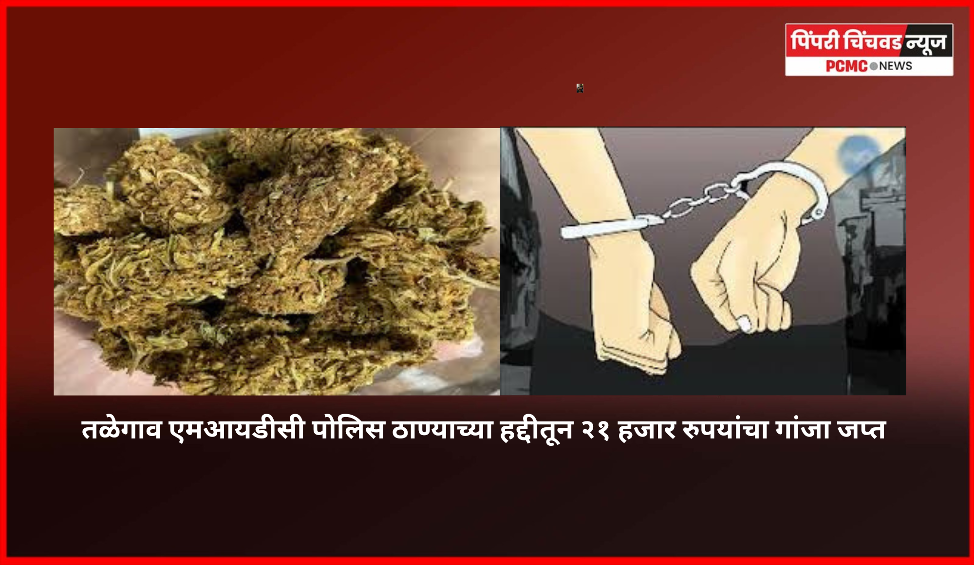 तळेगाव एमआयडीसी पोलिस ठाण्याच्या हद्दीतून २१ हजार रुपयांचा गांजा जप्त