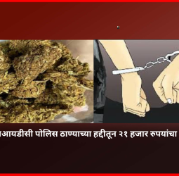 तळेगाव एमआयडीसी पोलिस ठाण्याच्या हद्दीतून २१ हजार रुपयांचा गांजा जप्त