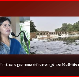 पवना-इंद्रायणी नदीच्या प्रदूषणाबाबत मंत्री पंकजा मुंडे  उद्या पिंपरी-चिंचवड दौऱ्यावर