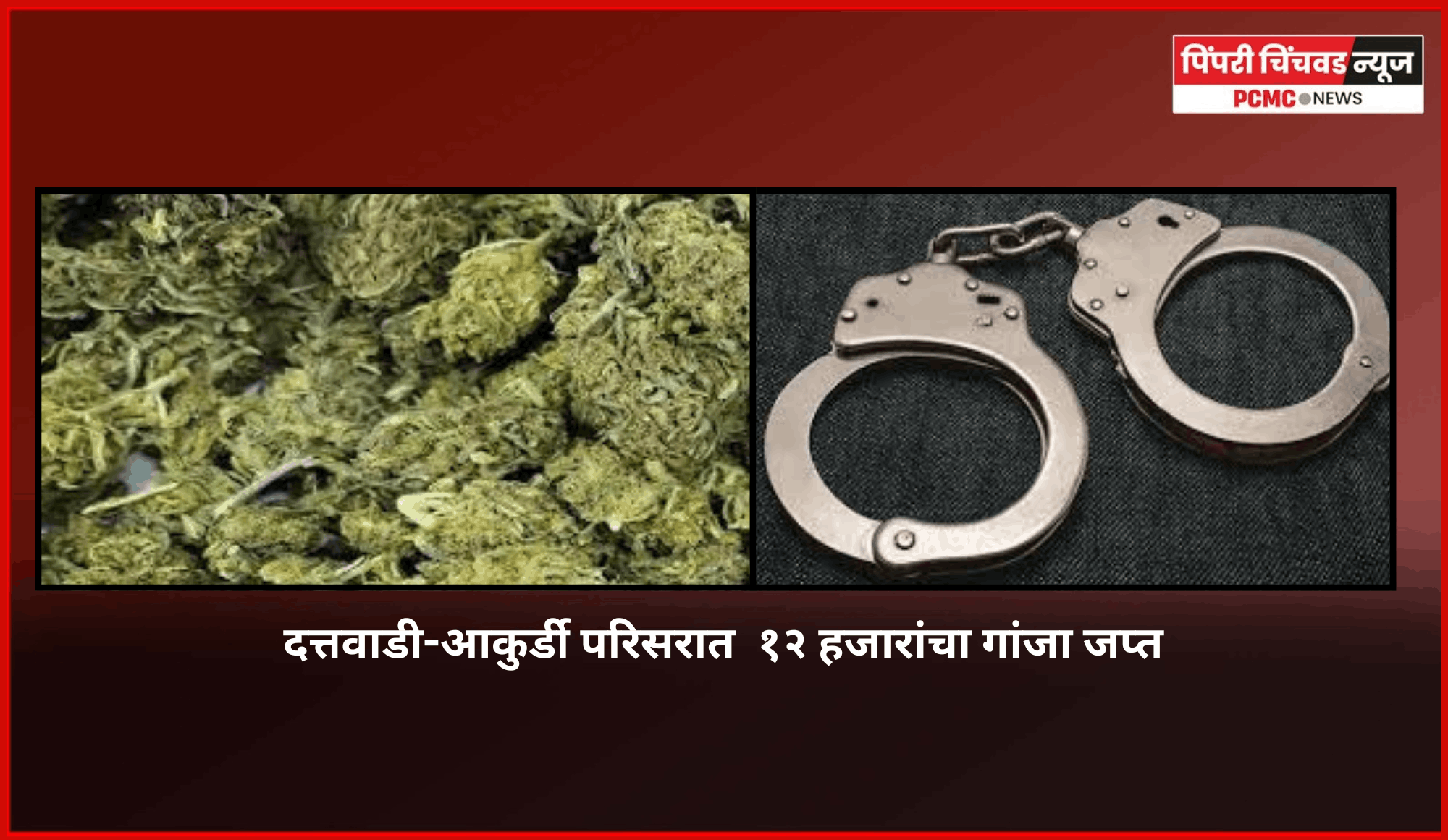 दत्तवाडी-आकुर्डी परिसरात  १२ हजारांचा गांजा जप्त