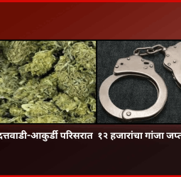 दत्तवाडी-आकुर्डी परिसरात  १२ हजारांचा गांजा जप्त