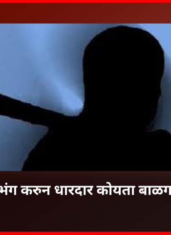 तडीपार आदेशाचा भंग करुन धारदार कोयता बाळगणारा युवक अटकेत