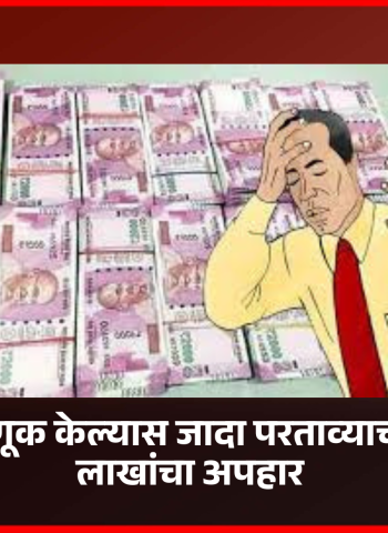 कंपनीत गुंतवणूक केल्यास जादा परताव्याच्या आमिषाने ९ लाखांचा अपहार