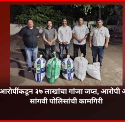 दोन आरोपींकडून ३७ लाखांचा गांजा जप्त, आरोपी अटकेत, सांगवी पोलिसांची कामगिरी