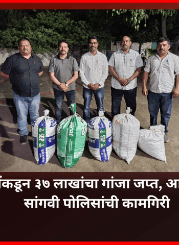 दोन आरोपींकडून ३७ लाखांचा गांजा जप्त, आरोपी अटकेत, सांगवी पोलिसांची कामगिरी