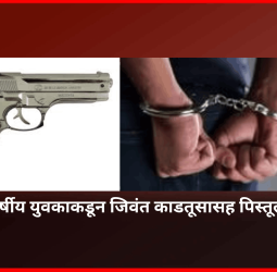 अठरा वर्षीय युवकाकडून जिवतं काडतूसासह पिस्तूल जप्त