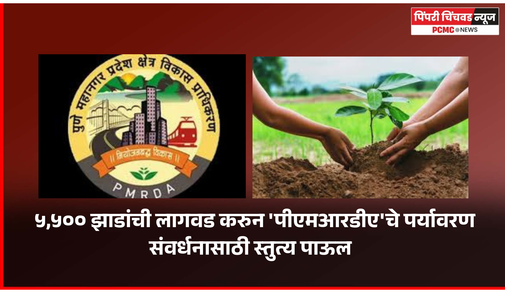 ५,५०० झाडांची लागवड करुन 'पीएमआरडीए'चे पर्यावरण संवर्धनासाठी स्तुत्य पाऊल