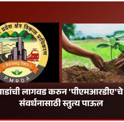 ५,५०० झाडांची लागवड करुन 'पीएमआरडीए'चे पर्यावरण संवर्धनासाठी स्तुत्य पाऊल