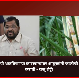 एफआरपी थकविणाऱ्या कारखान्यांवर जप्तीची कारवाई करावी - राजू शेट्टी