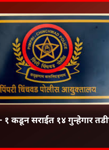 पिंपरी-चिंचवड पोलिस दलाच्या परिमंडळ - १ कडून सराईत १४ गुन्हेगार तडीपार