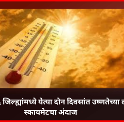 राज्यातील ६ जिल्ह्यांमध्ये येत्या दोन दिवसांत उष्णतेच्या लाट, स्कायमेटचा अंदाज