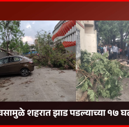 पावसामुळे शहरात झाड पडल्याच्या १७ घटना, 'डीपी'ला आग व सीमाभिंत पडल्याचीही घटना