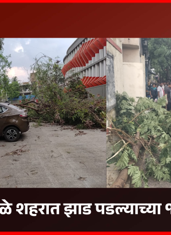 पावसामुळे शहरात झाड पडल्याच्या १७ घटना, 'डीपी'ला आग व सीमाभिंत पडल्याचीही घटना
