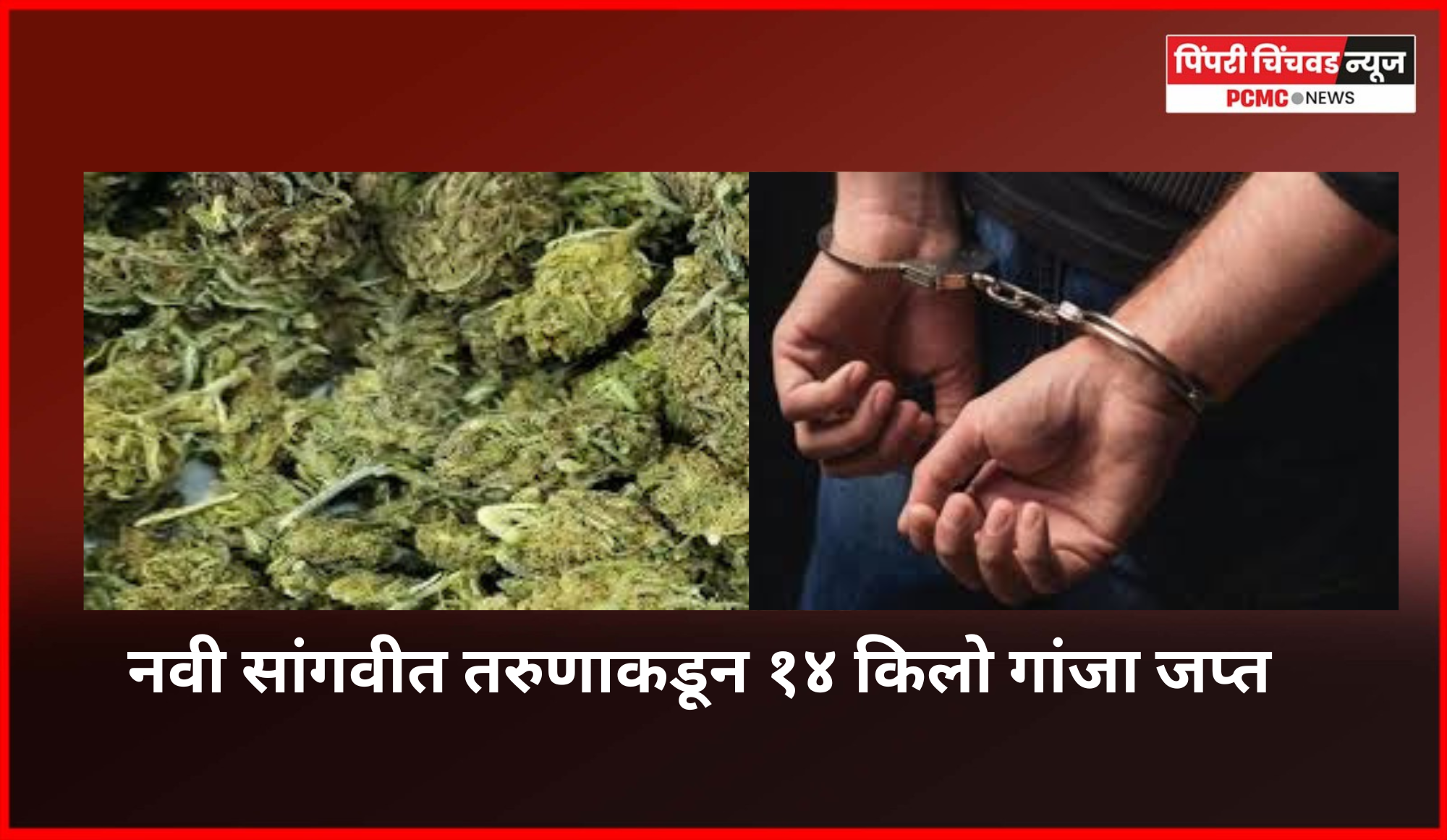 नवी सांगवीत तरुणाकडून १४ किलो गांजा जप्त