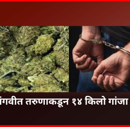 नवी सांगवीत तरुणाकडून १४ किलो गांजा जप्त