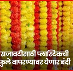 सजावटीसाठी  प्लास्टिकच्या फुलांच्या वापरावर बंदी घालणार, मुख्यमंत्री देवेंद्र फडणवीस यांची माहिती