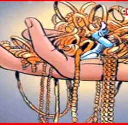 मैत्रिणीच्या घरातील कपाटातून २ लाखांच्या दागिन्यांची चोरी, तरुणीवर गुन्हा दाखल