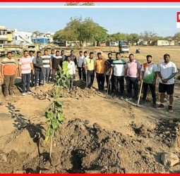 सांगोला पोलिसांनी केला पर्यावरण रक्षणाचा संकल्प, विविध झाडांची केली लागवड