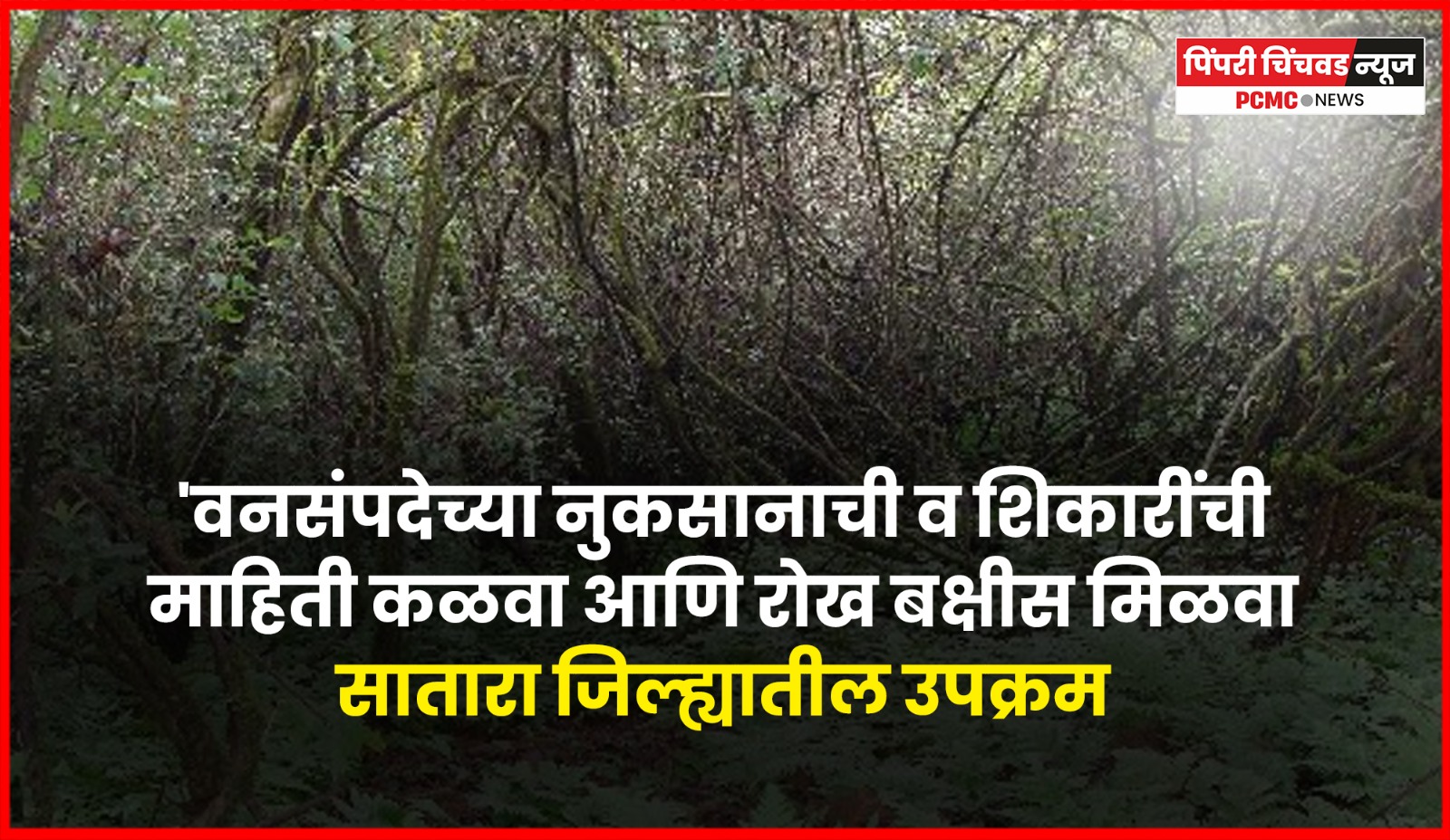 'वनसंपदेच्या नुकसानाची व शिकारींची माहिती कळवा आणि रोख बक्षीस मिळवा', सातारा जिल्ह्यातील उपक्रम