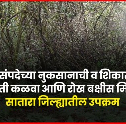 'वनसंपदेच्या नुकसानाची व शिकारींची माहिती कळवा आणि रोख बक्षीस मिळवा', सातारा जिल्ह्यातील उपक्रम