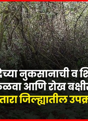 'वनसंपदेच्या नुकसानाची व शिकारींची माहिती कळवा आणि रोख बक्षीस मिळवा', सातारा जिल्ह्यातील उपक्रम