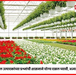 'फ्लोरिकल्चर' फुल उत्पादकांच्या प्रश्नांची शासनाने योग्य दखल घ्यावी, अन्यथा बेमुदत उपोषण