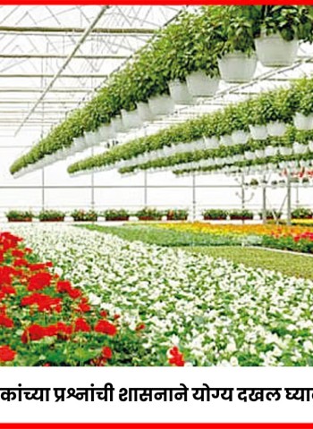 'फ्लोरिकल्चर' फुल उत्पादकांच्या प्रश्नांची शासनाने योग्य दखल घ्यावी, अन्यथा बेमुदत उपोषण