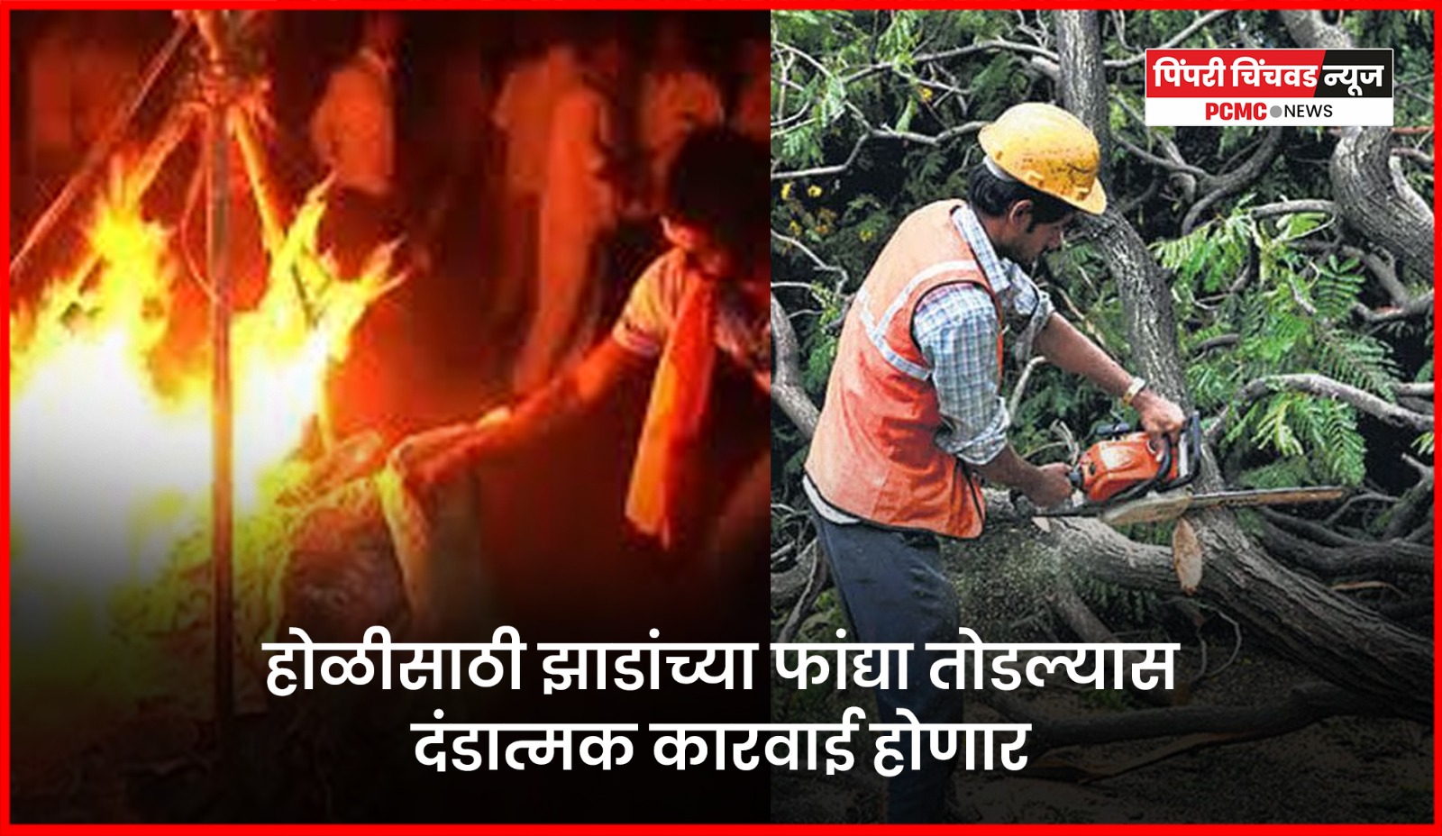 होळीसाठी झाडांच्या फांद्या तोडल्यास दंडात्मक कारवाई होणार