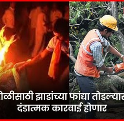 होळीसाठी झाडांच्या फांद्या तोडल्यास दंडात्मक कारवाई होणार