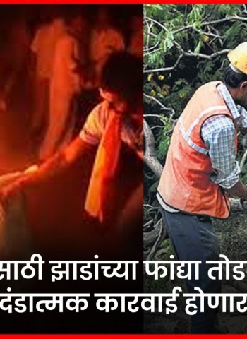 होळीसाठी झाडांच्या फांद्या तोडल्यास दंडात्मक कारवाई होणार