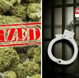 एमआयडीसी भोसरी पोलिसांची कारवाई, ३ हजार ९३८ ग्रॅम गांजा जप्त,  दोघांना अटक