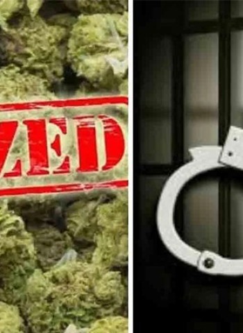 पावणे तीन लाखांचे हातभट्टीच्या दारुचे रसायन नष्ट, दक्षिण महाळुंगे एमआयडीसी पोलिसांची कारवाई