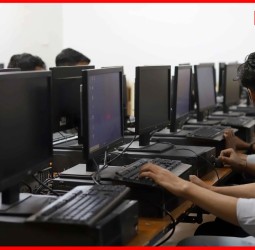 मास्टर ऑफ कॉम्प्युटर अॅप्लिकेशन अभ्याक्रमासाठी यंदा विद्यार्थीसंख्या घटली