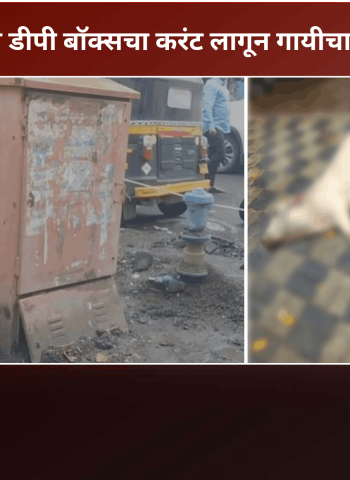 महावितरणच्या डीपी बॉक्सचा करंट लागून गायीचा मृत्यू