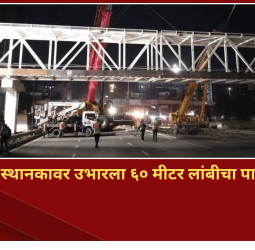 वाकड मेट्रो स्थानकावर उभारला ६० मीटर लांबीचा पादचारी पूल, रस्ता ओलांडणे झाले सुरक्षित