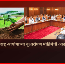 हरित महाराष्ट्र आयोगाच्या वृक्षारोपण मोहिमेची आढावा बैठक