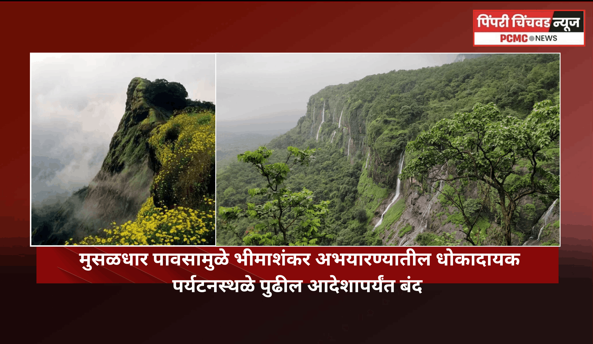मुसळधार पावसामुळे भीमाशंकर अभयारण्यातील धोकादायक पर्यटनस्थळे पुढील आदेशापर्यंत बंद