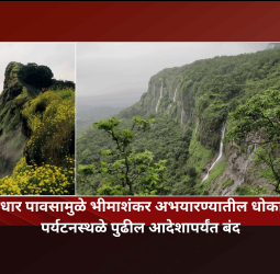 मुसळधार पावसामुळे भीमाशंकर अभयारण्यातील धोकादायक पर्यटनस्थळे पुढील आदेशापर्यंत बंद