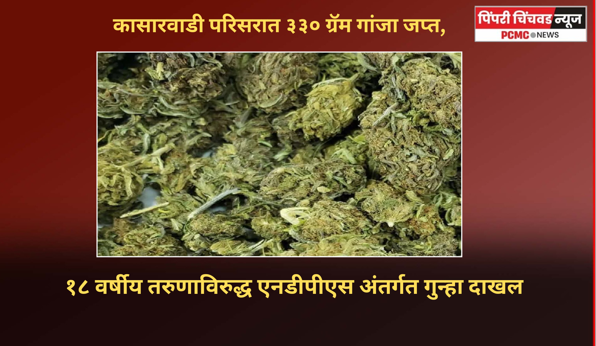 कासारवाडी परिसरात ३३० ग्रॅम गांजा जप्त, १८ वर्षीय युवकाविरुद्ध  गुन्हा दाखल
