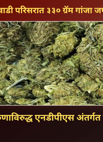 कासारवाडी परिसरात ३३० ग्रॅम गांजा जप्त, १८ वर्षीय युवकाविरुद्ध  गुन्हा दाखल