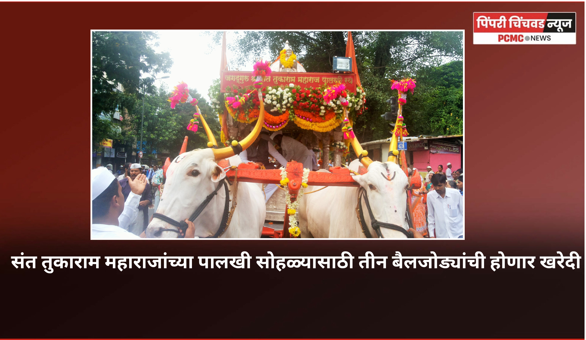 संत तुकाराम महाराजांच्या पालखी सोहळ्यासाठी तीन बैलजोड्यांची होणार खरेदी