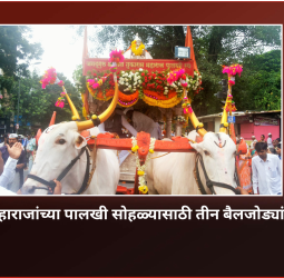 संत तुकाराम महाराजांच्या पालखी सोहळ्यासाठी तीन बैलजोड्यांची होणार खरेदी